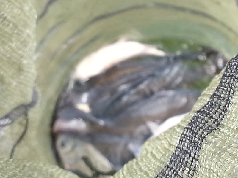 20140226_114258.jpg