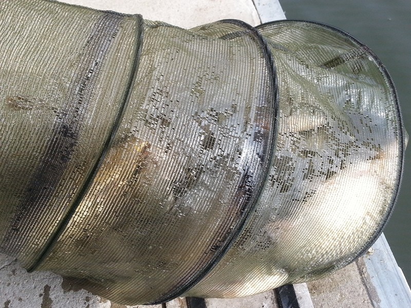 20140226_114315.jpg