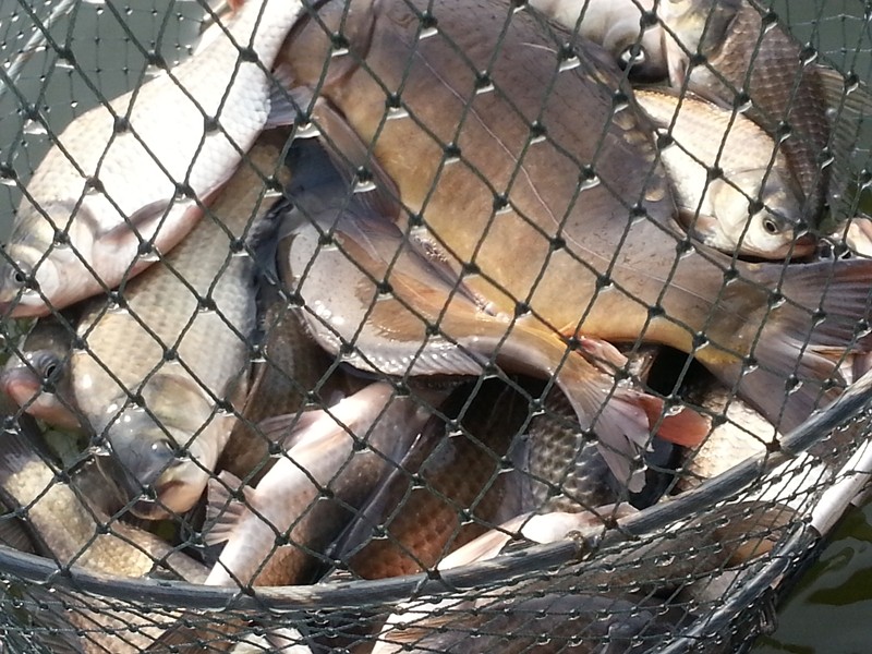 20140223_092946.jpg