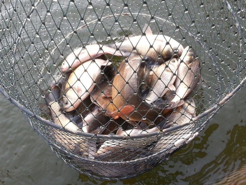 20140223_092942.jpg