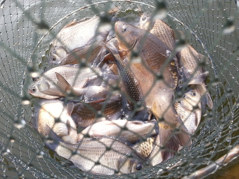 20140223_092954.jpg