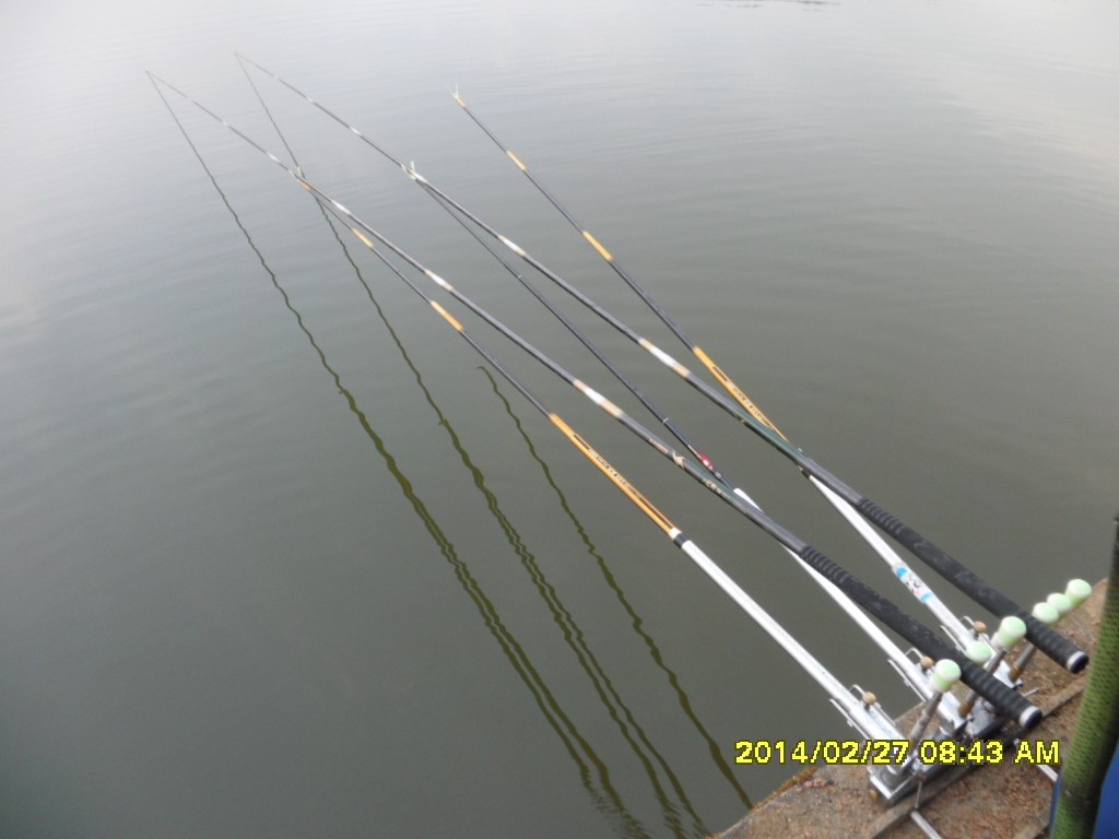 SAM_3839.JPG