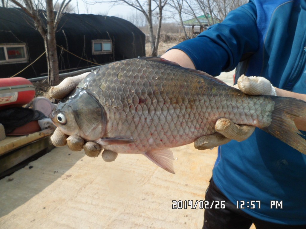 SAM_8939.JPG