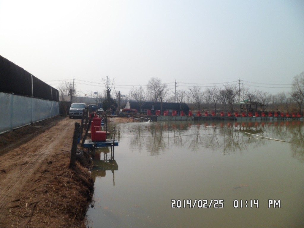 Ȳ 004.jpg