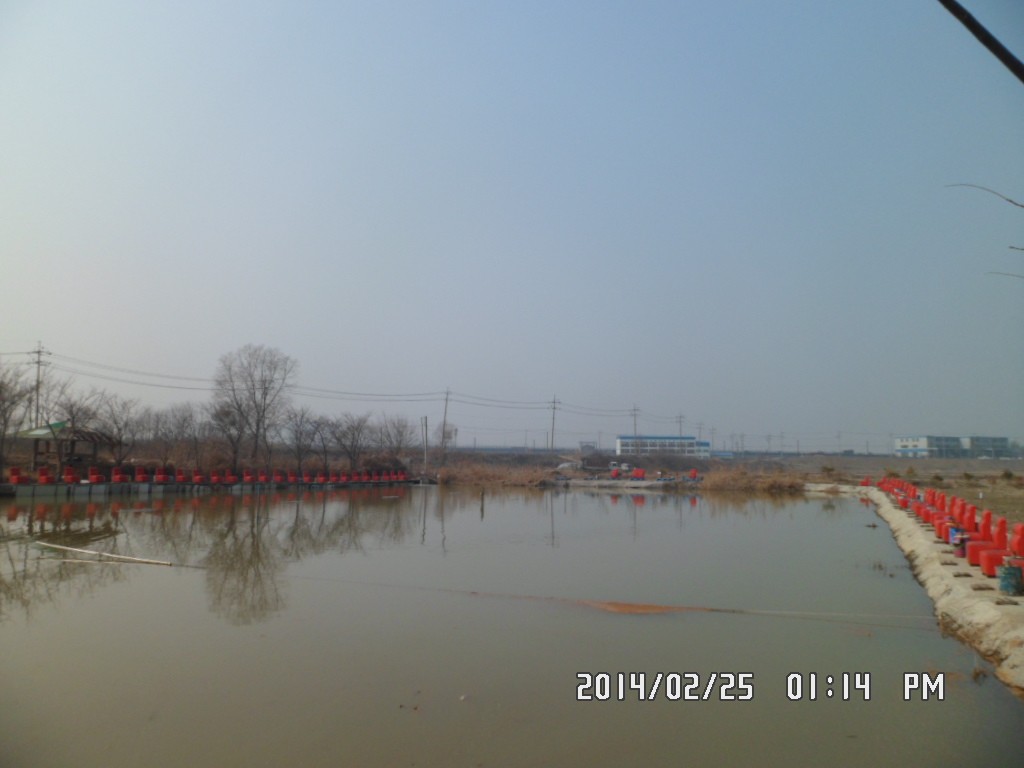Ȳ 002.jpg