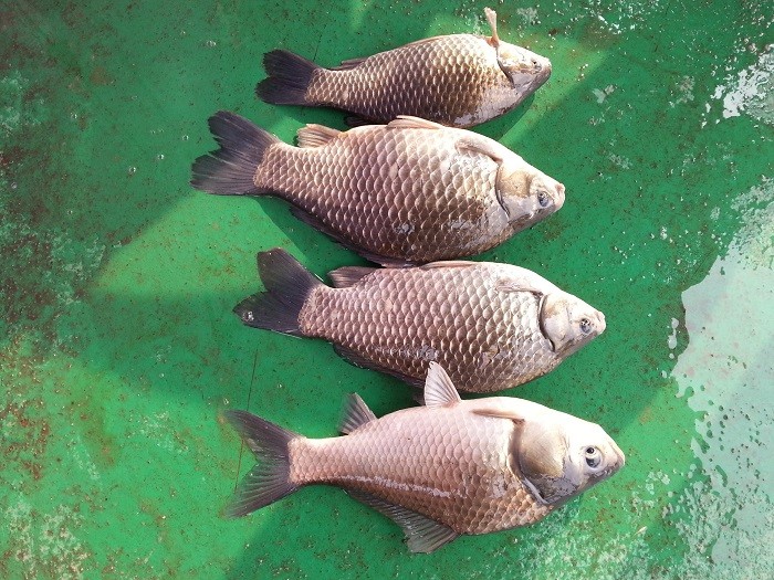 20140226_101009.jpg