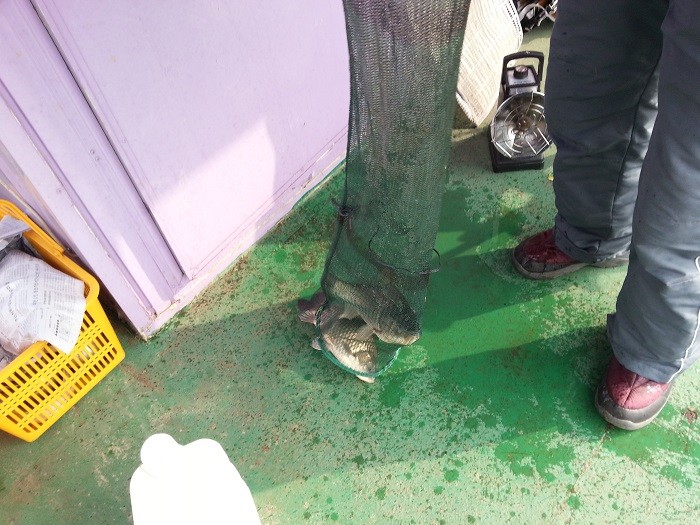 20140226_100951.jpg