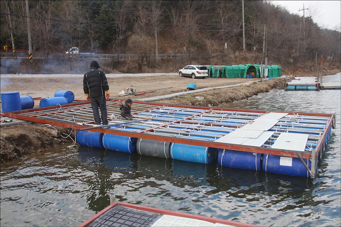 IMG_3716.JPG