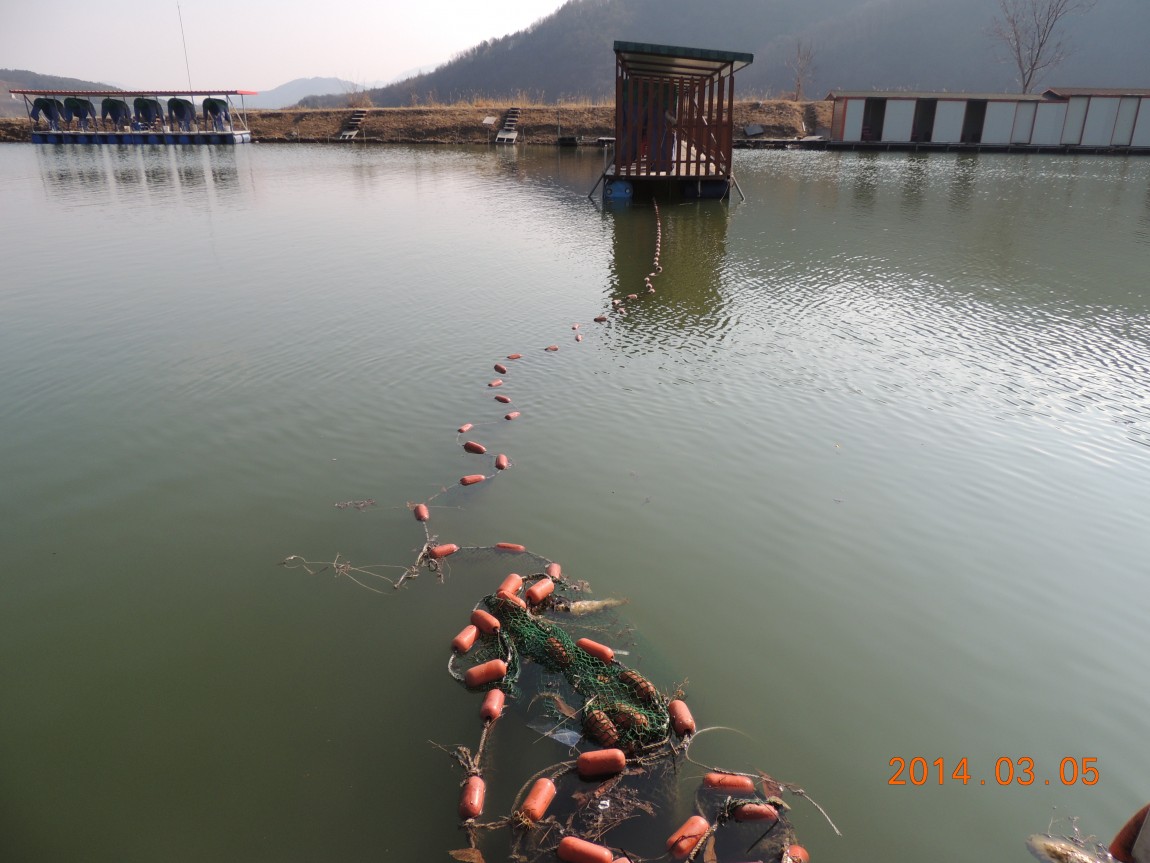 DSCN0190.JPG