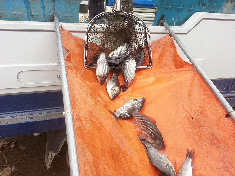 20140301_1.jpg
