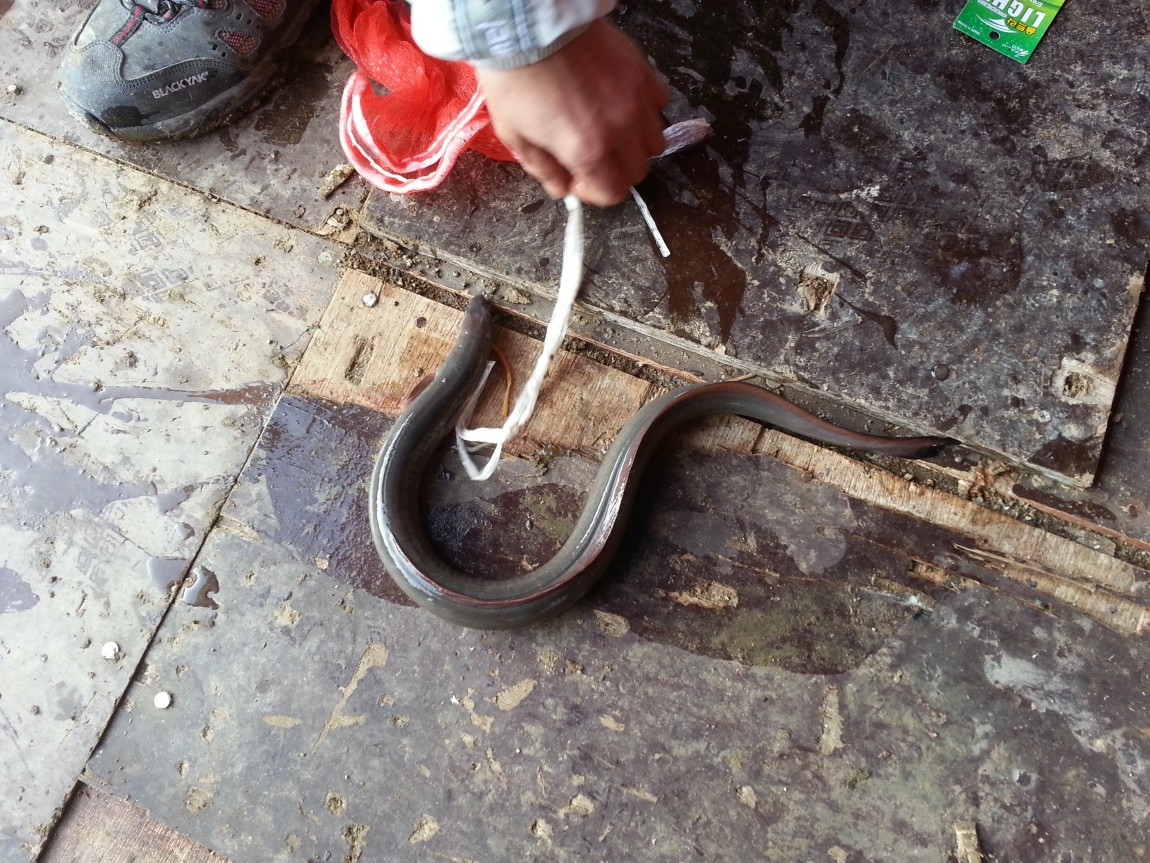 20140302_083111.jpg