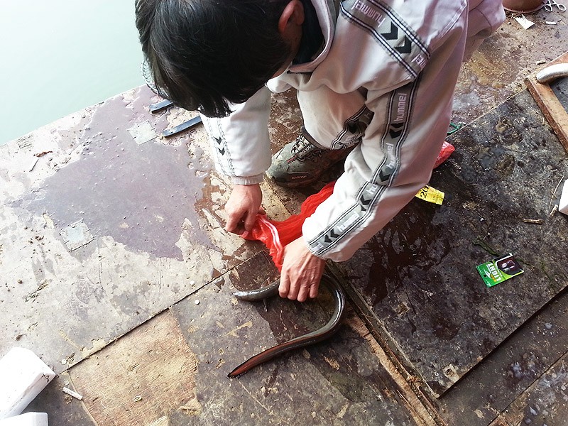 20140302_2.jpg