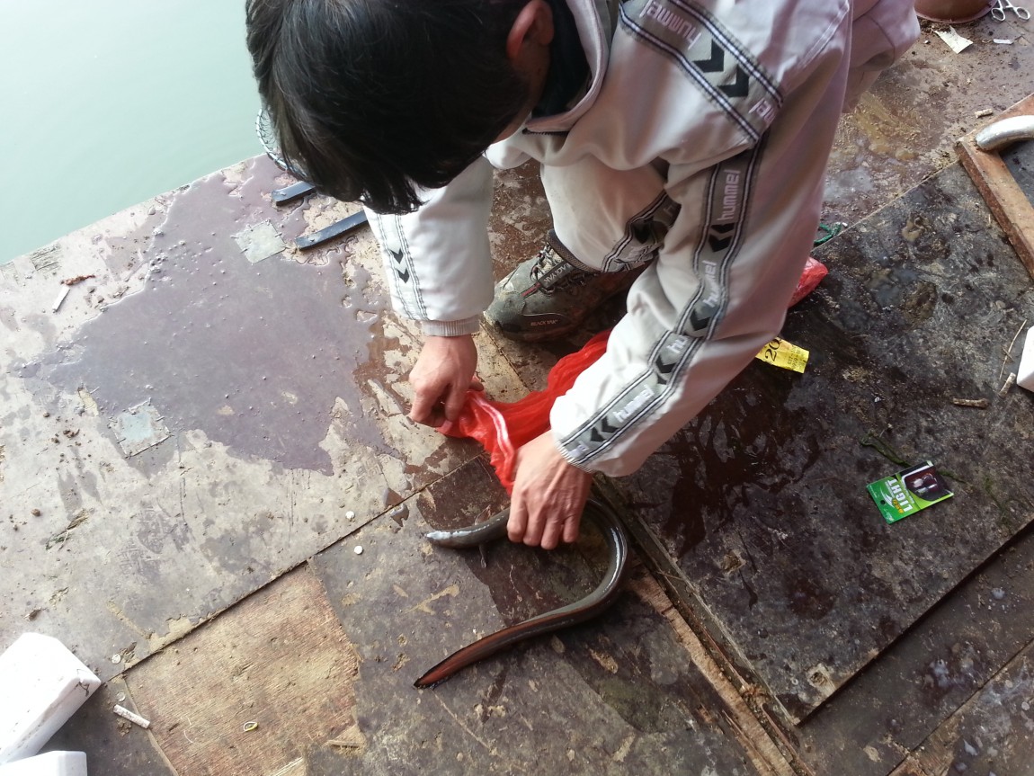 20140302_083119.jpg