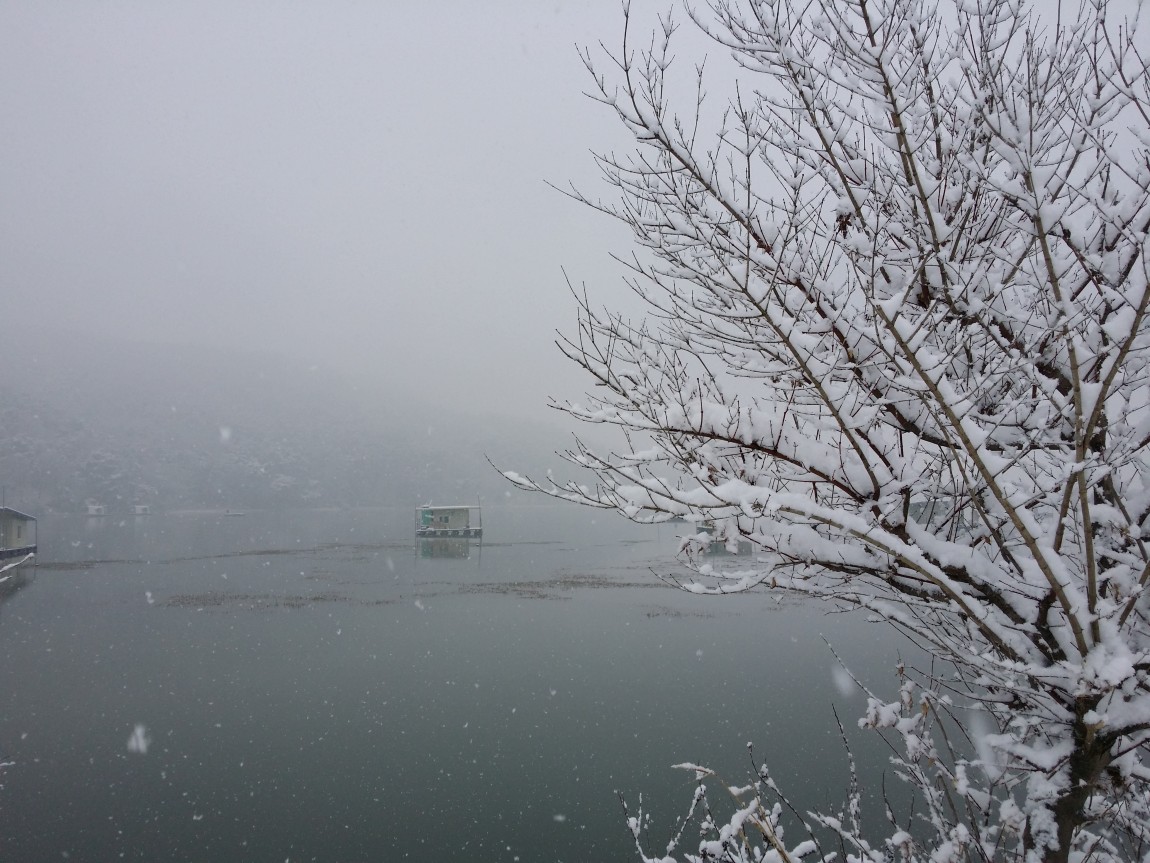 20140309_081453.jpg