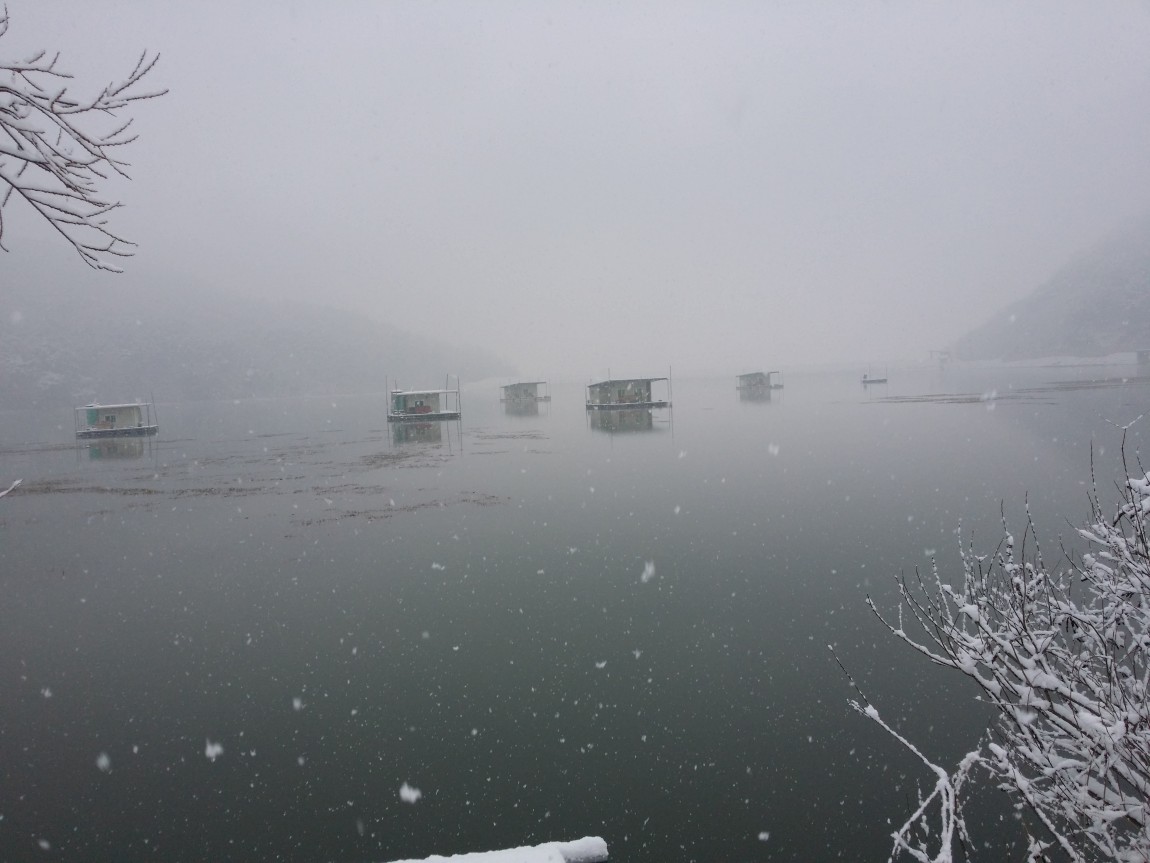20140309_081420.jpg