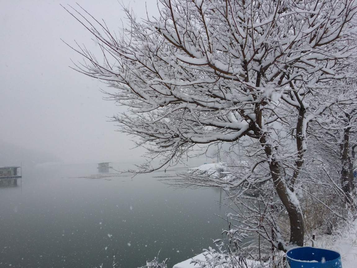 20140309_081336.jpg