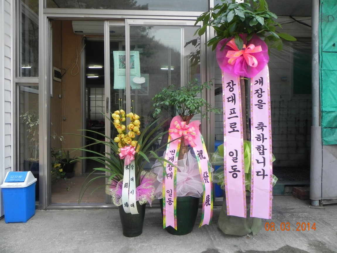 DSCN6102.JPG