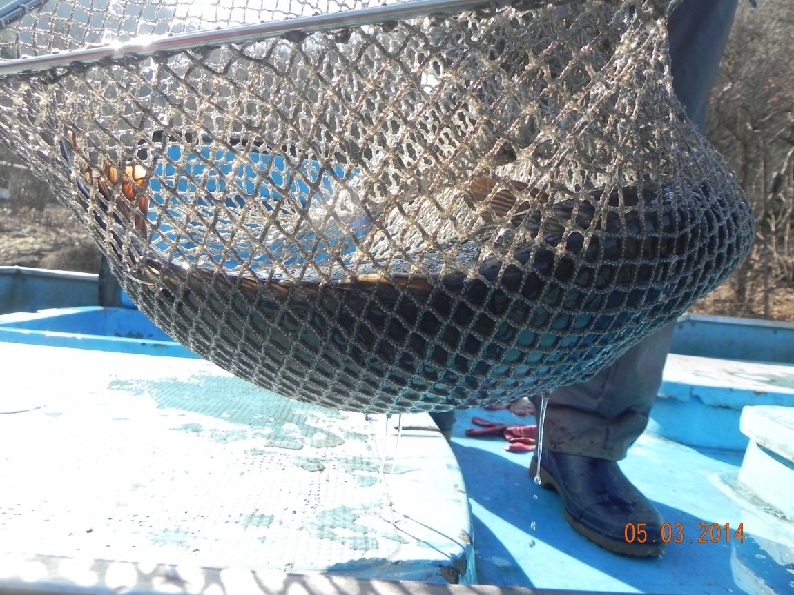 DSCN9965.JPG