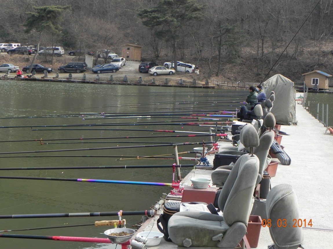 DSCN6128.JPG