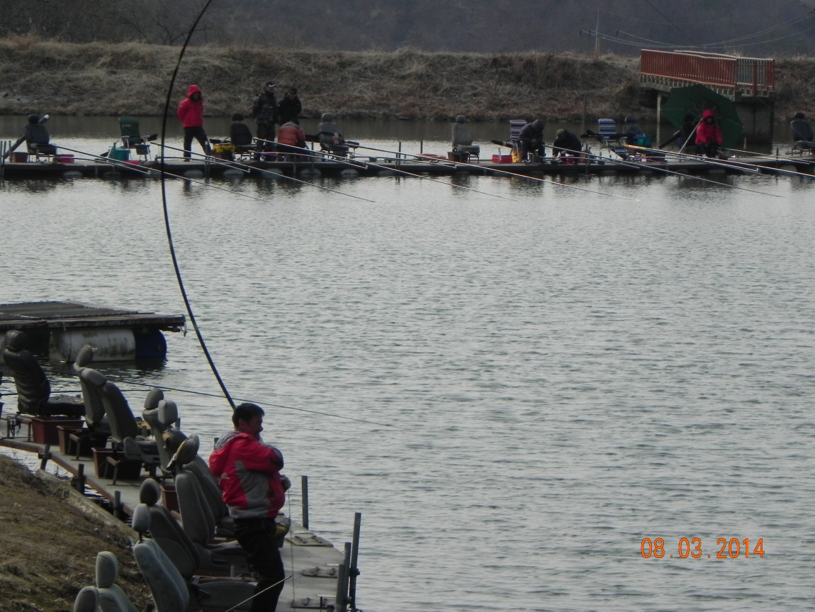 DSCN6137.JPG