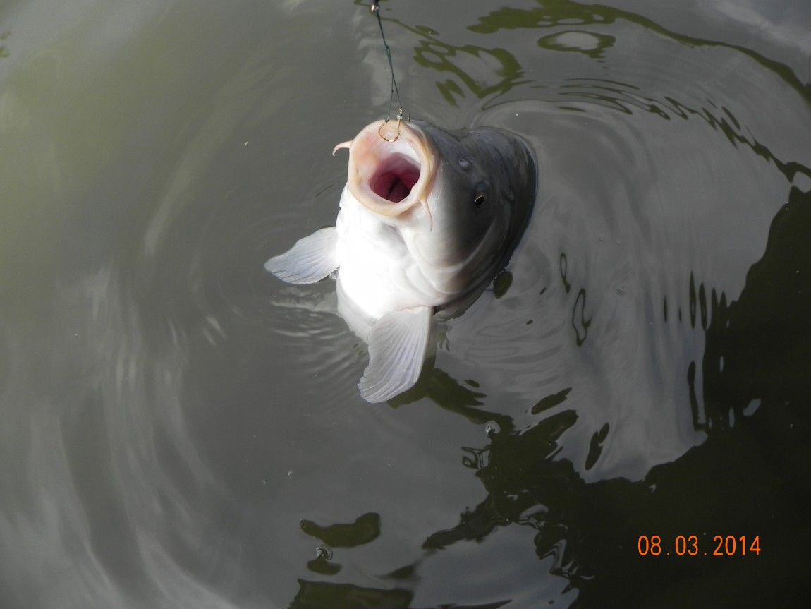 DSCN6145.JPG