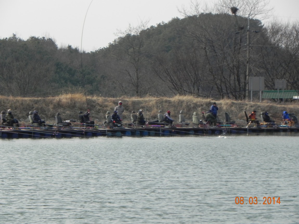 DSCN6156.JPG