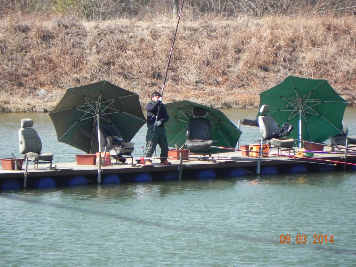 DSCN6186.JPG