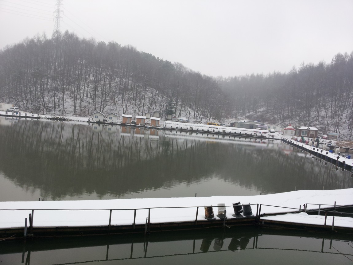 20140309_085635.jpg