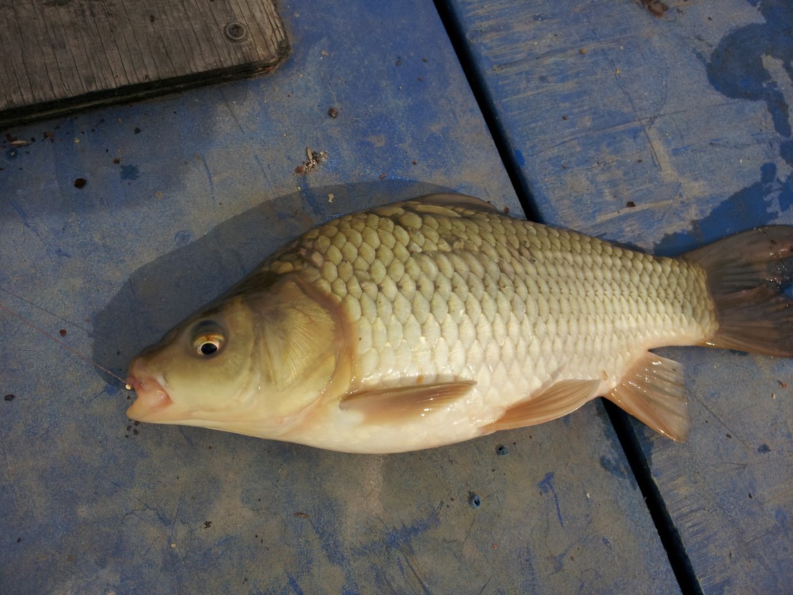 20140308_113653.jpg