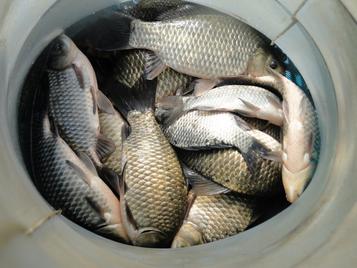 �����ŵ��� 027.jpg