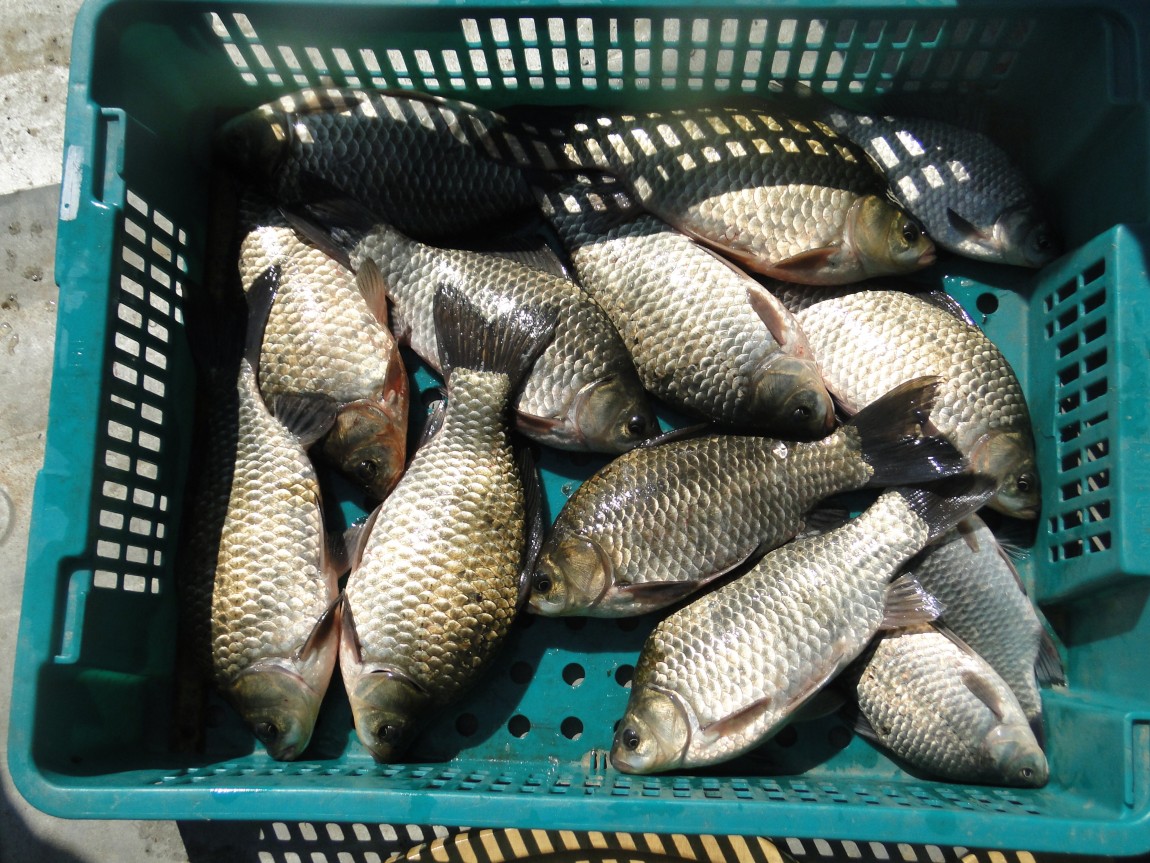 �����ŵ��� 030.jpg