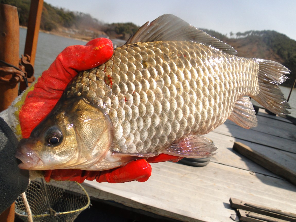 �����ŵ��� 031.jpg