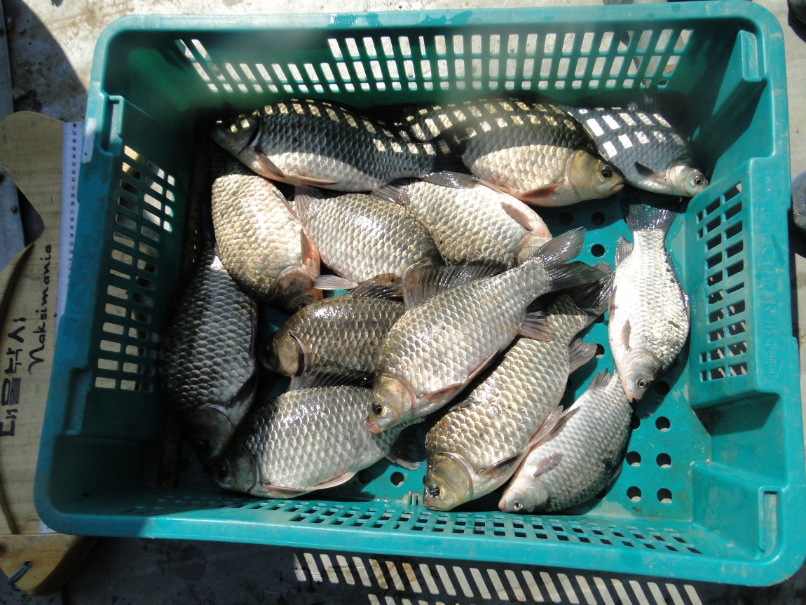 �����ŵ��� 033.jpg