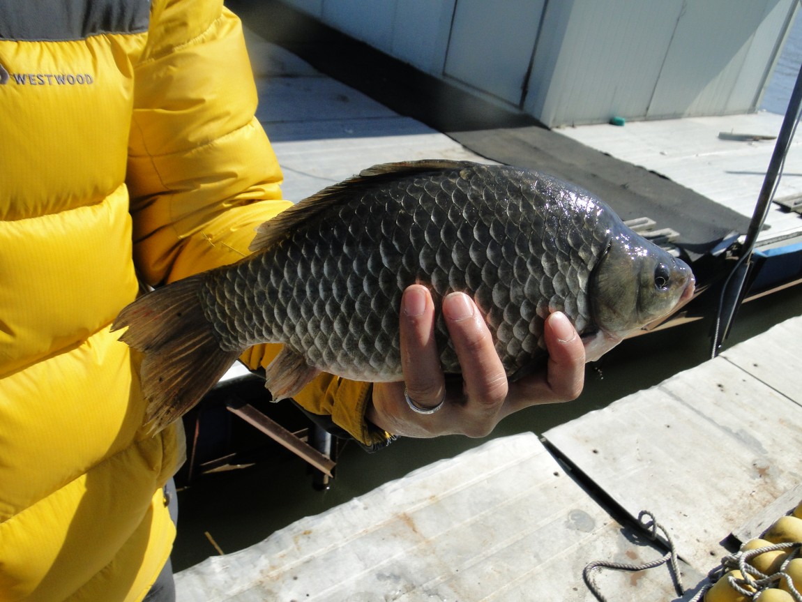 �����ŵ��� 036.jpg