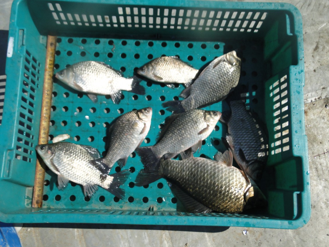 �����ŵ��� 037.jpg