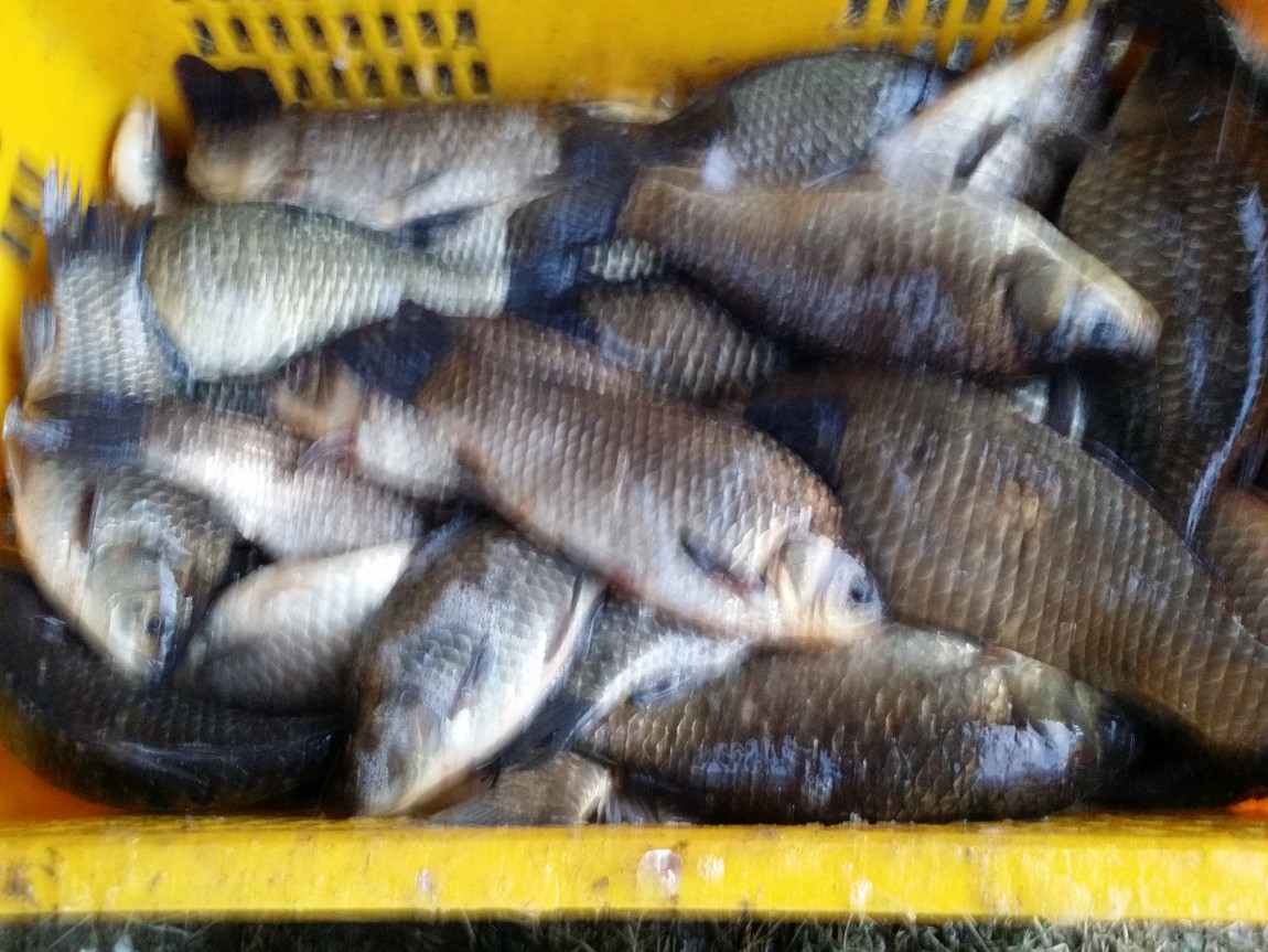 20140307_070303.jpg