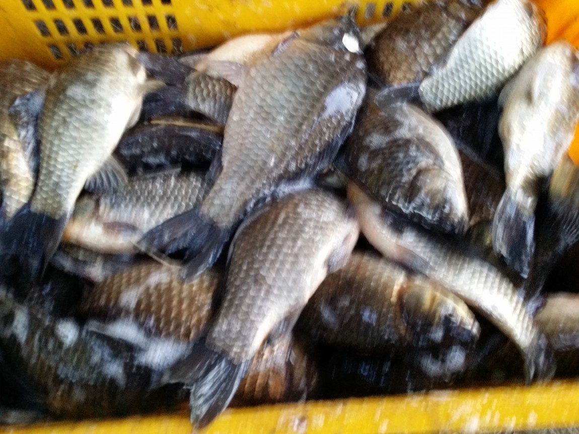 20140307_070317.jpg