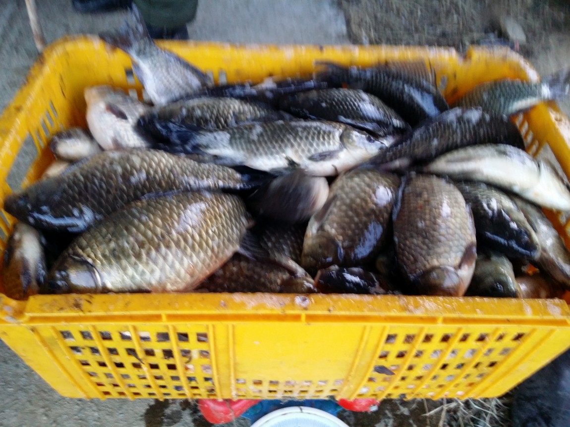 20140307_070414.jpg