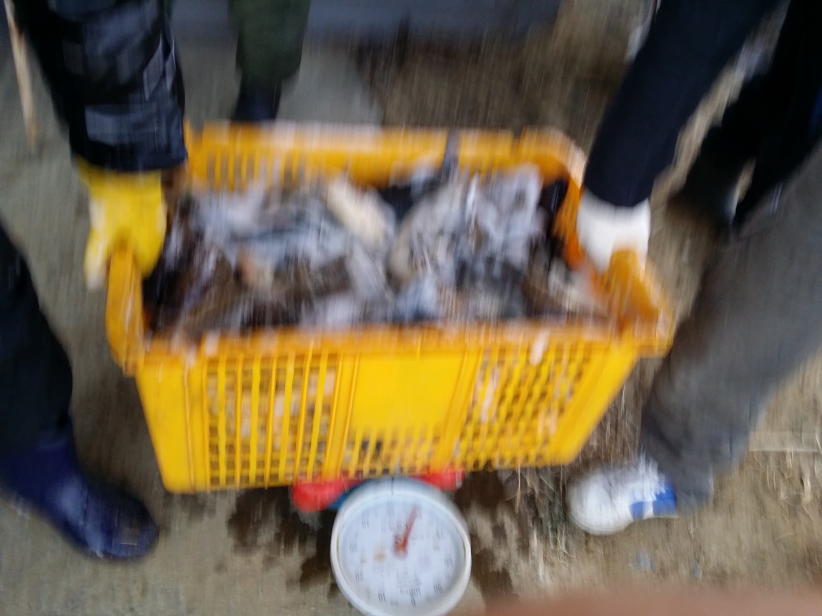 20140307_070817.jpg