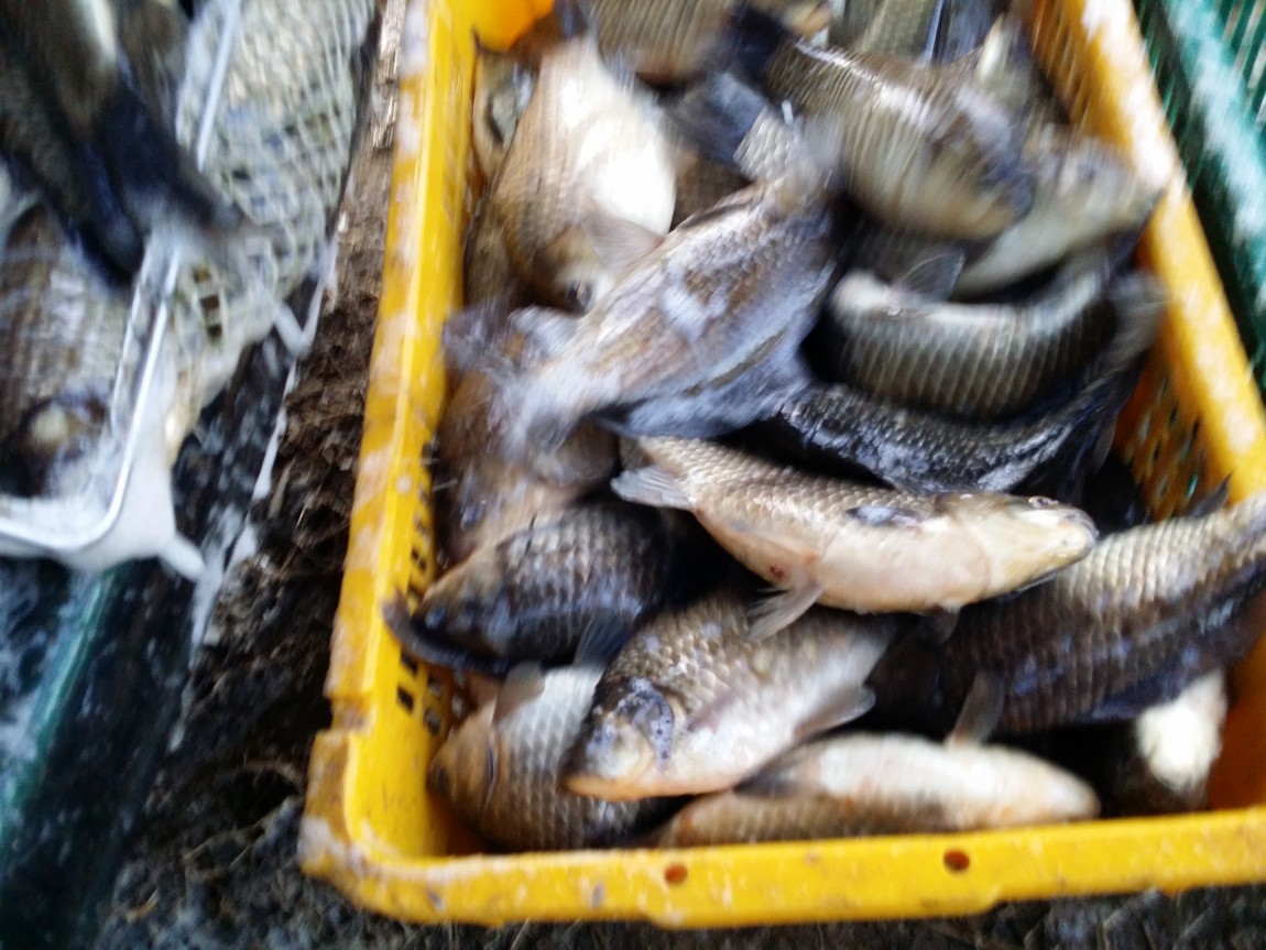 20140307_071024.jpg
