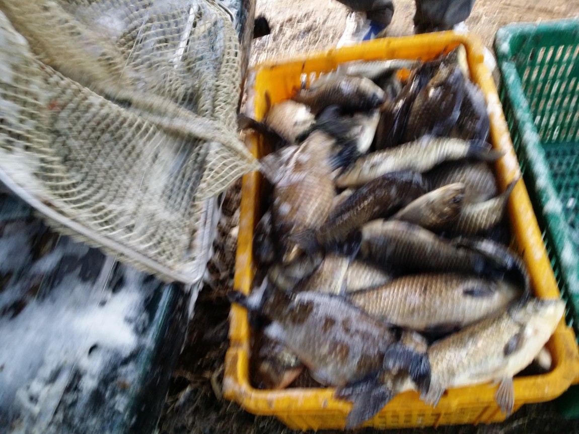 20140307_071028.jpg