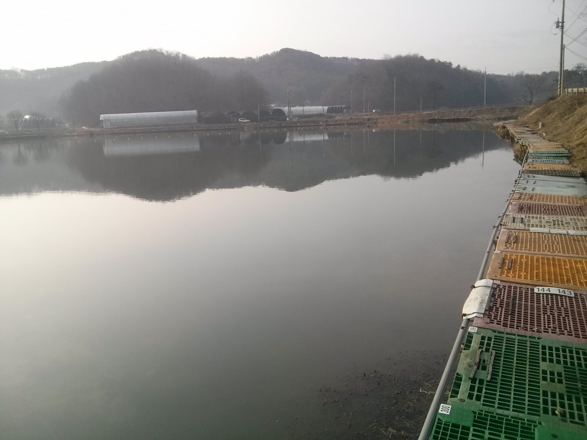 CAM00411.jpg