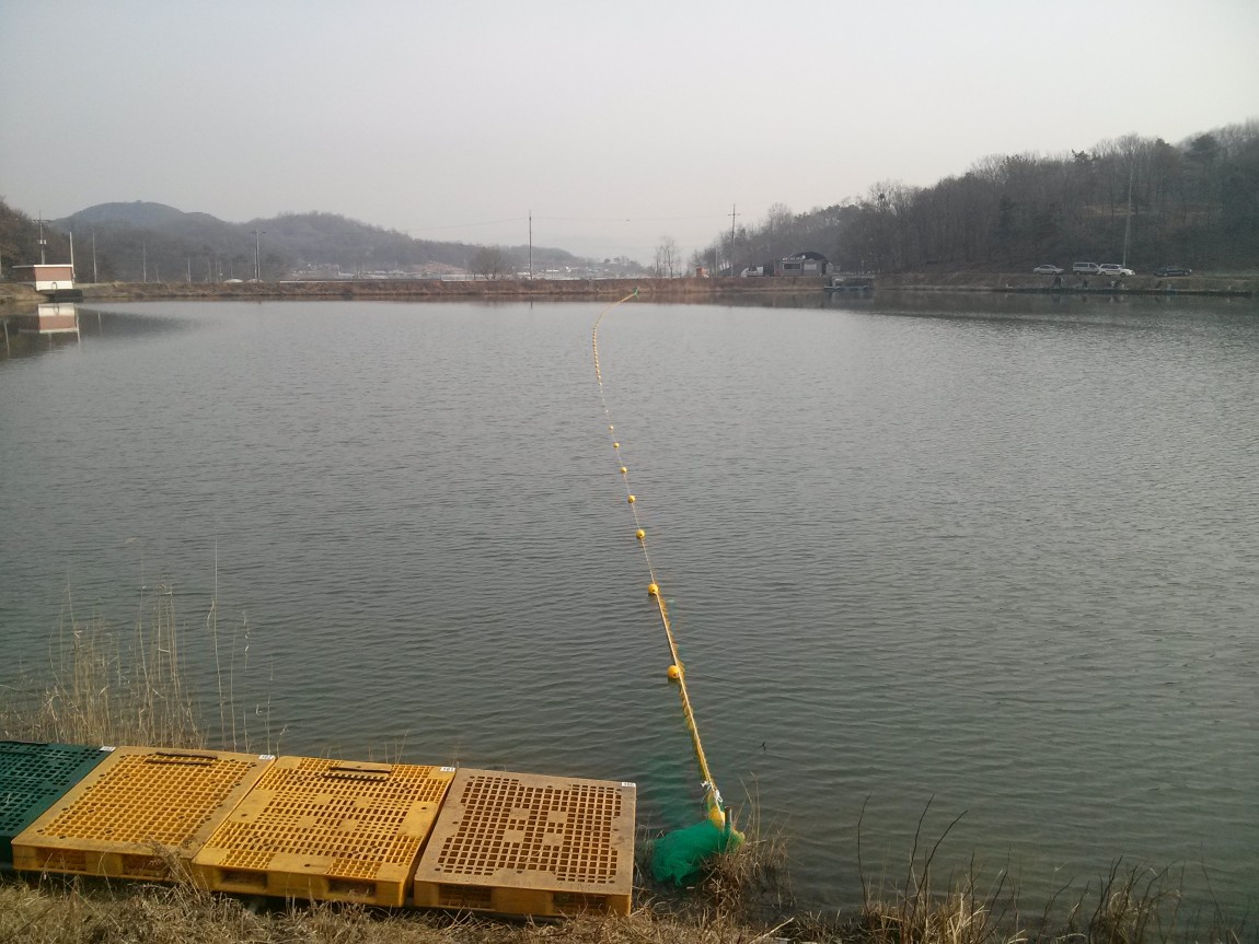 CAM00416.jpg