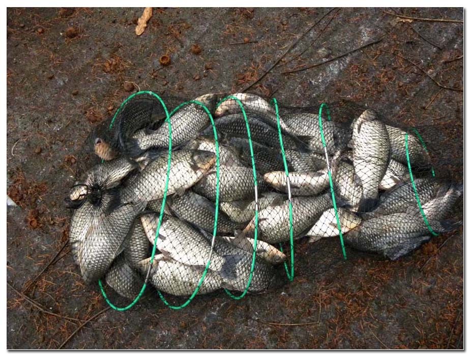 Untitled-1 copy 14.jpg