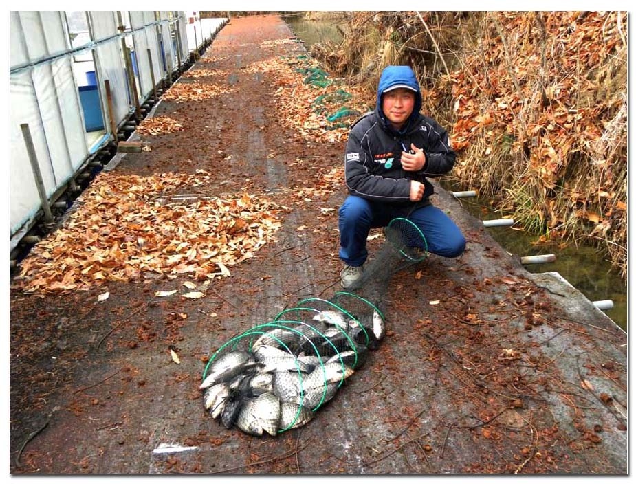 Untitled-1 copy 15.jpg