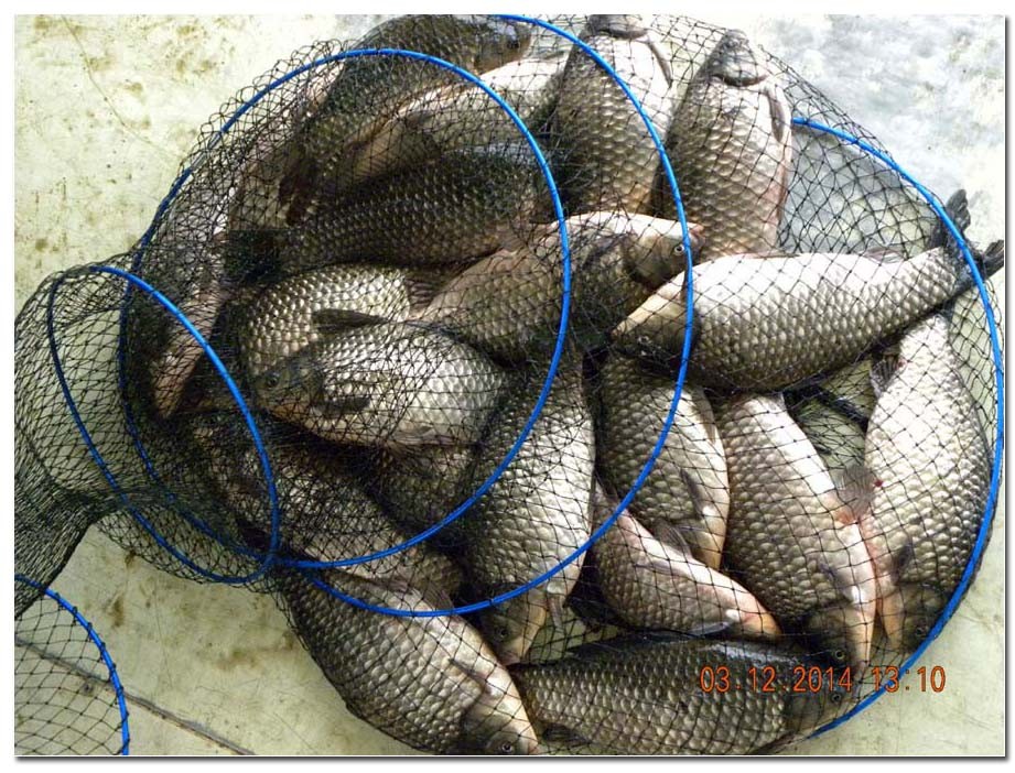 Untitled-1 copy 17.jpg