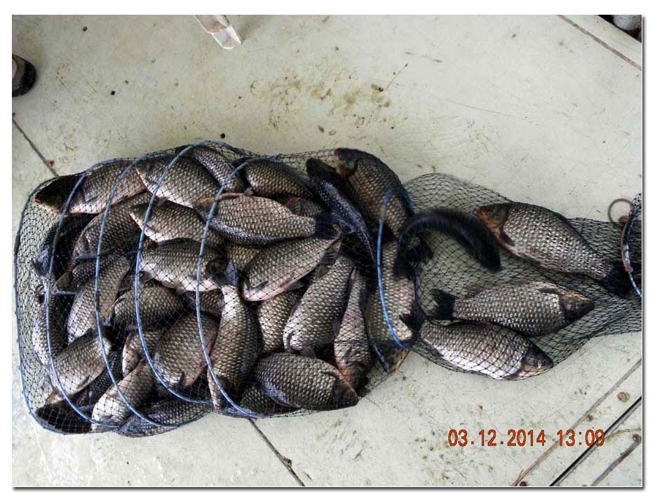 Untitled-1 copy 19.jpg