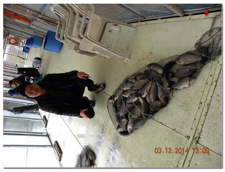 Untitled-1 copy 20.jpg