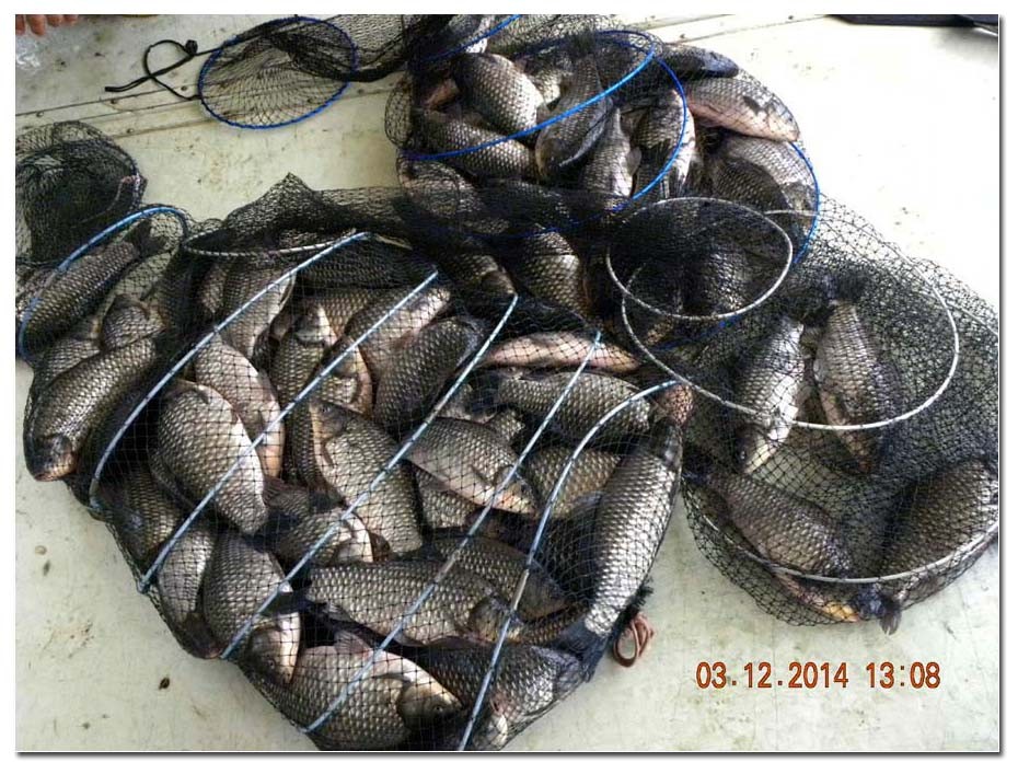 Untitled-1 copy 22.jpg