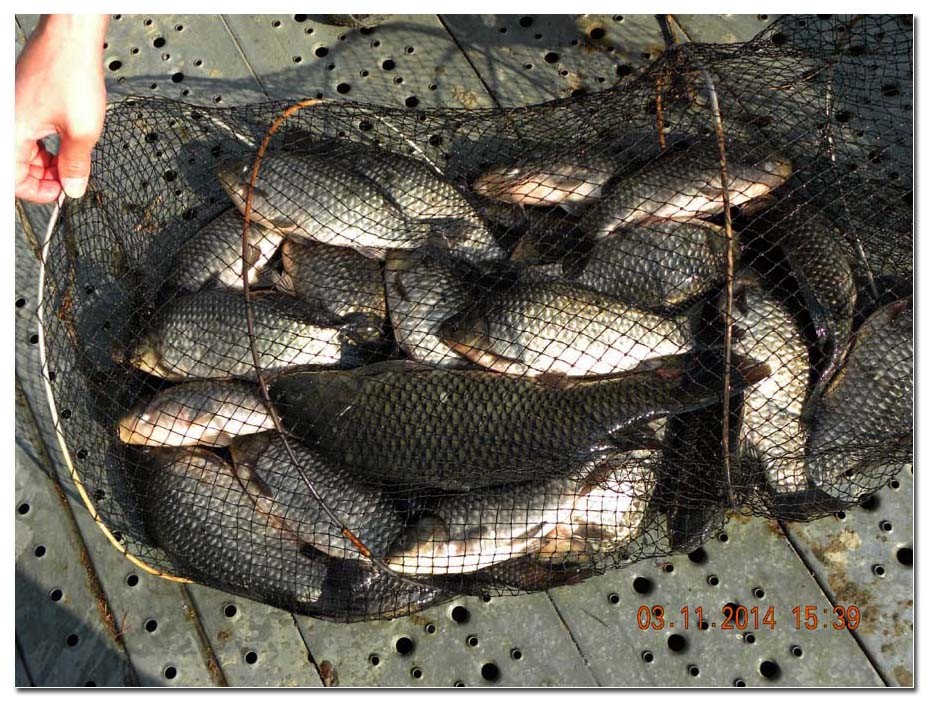 Untitled-1 copy 23.jpg